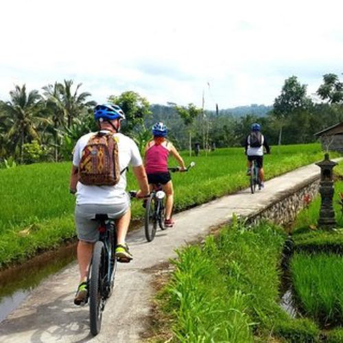 Bali Cycling Downhill Through Villages
