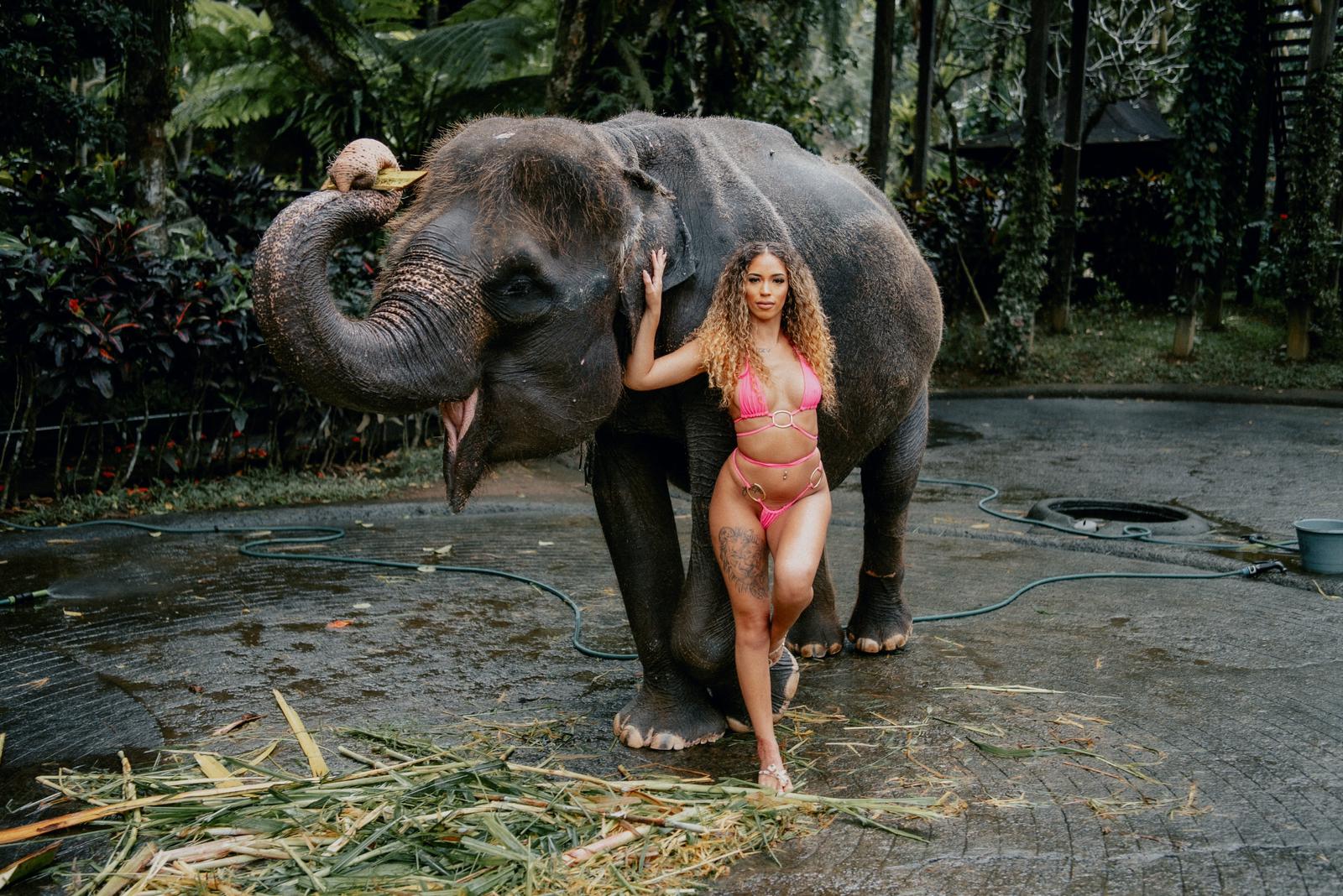 ELEPHANT SANCTUARY, BALI SWING AND HIDDEN WATERFALL 